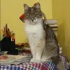 Отзыв от Алла Чистякова